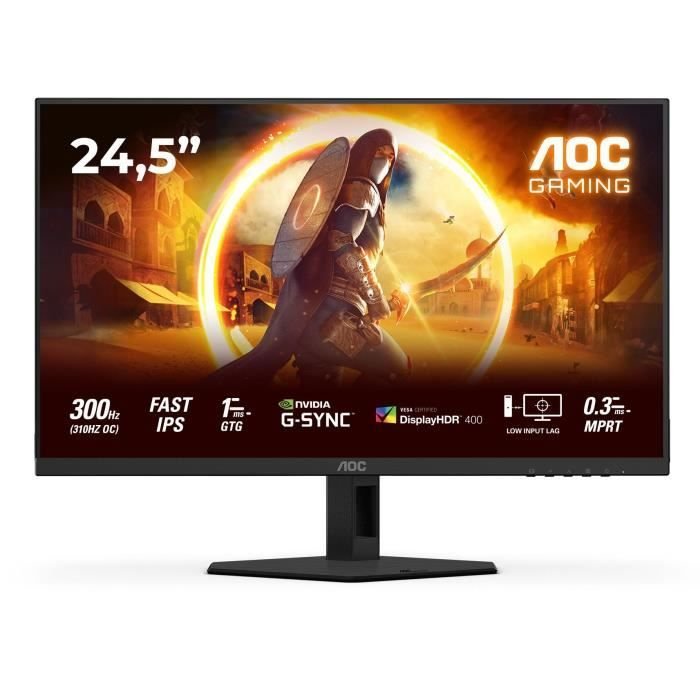 Schermo per PC Gamer - AOC - FHD - 24,5   - 300Hz - Fast IPS - 0,3ms -