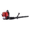Souffleur a dos thermique LB5200BP - 51,7 cm³ 1,9CV - SCHEPPACH