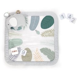 Ingenuity SPROUT SPOT Awakening Carpet - Evolutif - 8 x 102 x 102 cm -