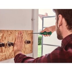 Bosch ratelschroevendraaier 12 bits