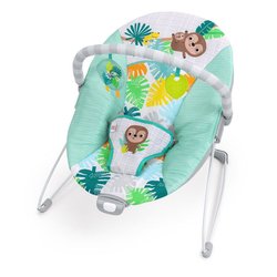 BRIGHT STARTS Transat bébé vibrant Wild Wonders- Arche avec jouets d é