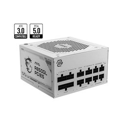 MSI - MAG A850GL PCIE5 WIT - Interne voeding - 850W