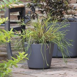 Blumentopf - DEROMA - Origin - 11 L - Grau