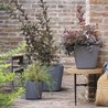 Blumentopf - DEROMA - Origin - 11 L - Grau