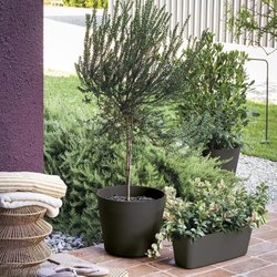 Jardinera - DEROMA - Origen - 18 L - Gris