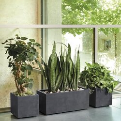 Cube Flower Pot - DEROMA - Millennium R - Anthracite - With water rese