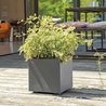 Cube Flower Pot - DEROMA - Millennium R - Anthracite - With water rese