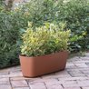 Plantenbak - DEROMA - Origin - 11,6 L - Terracotta