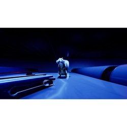 Eichhörnchen mit einer Waffe  PS5-Spiel