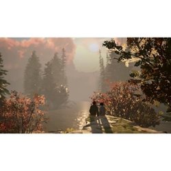 Life Is Strange 2  Nintendo Switch-Spiel  Code in einer Box