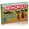 Cavalli e pony monopoly - gioco altopiano - mosse vincenti