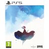 Grau  PS5-Spiel